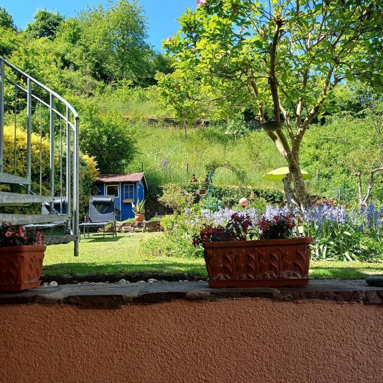 Ferienwohnung Haus Bleser Cochem Luaran gambar